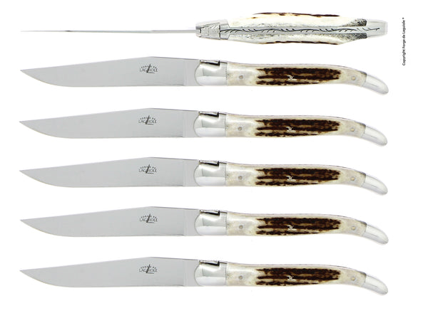 Forge De Laguiole - Dear Antler handle - High Polished Stainless Steel Blade