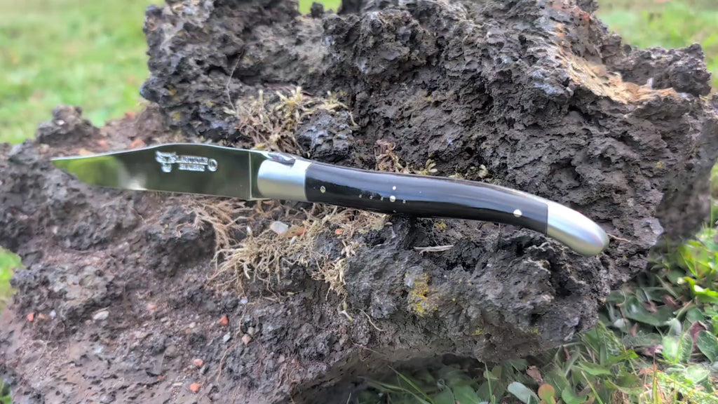 Laguiole en Aubrac | Buffalo Horn