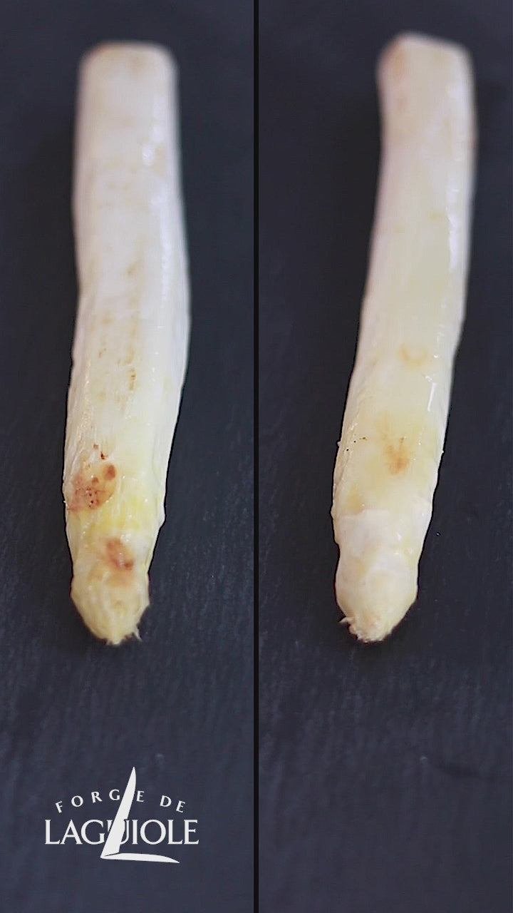 Forge De Laguiole knive med benhåndtag, 2 bolster i rustfrit stål og højglanspoleret rustfrit stålklinge
